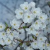 上野公園