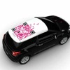パリの高校生がデザインした DS3 ルーフステッカー