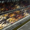 ロータス（4月14日、F1中国GP予選）