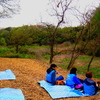 水の流れと鳥のさえずりと風の音しか聞こえない場所でひと休み