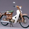 SUPER CUB DELUXE C50DX（1971年）