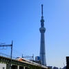 東京スカイツリー