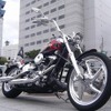 ハーレーダビッドソン・FXSTC（参考画像）