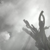 The Returning Tree