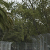 小樽で公道F1レース!!…プロジェクトチーム始動