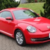 VW/ザ・ビートル