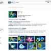 これまでの画像検索。画像が「flower」と認識されている
