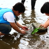 阪神高速11号池田線・東海道線の橋梁ちかくの淀川に生息する生き物を確認