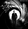 映画『007 スカイフォール』ティザーポスター