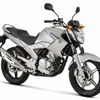 ヤマハ YS250 FAZER ブルーフレックス仕様