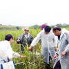 三島工場従業員による植生調査の様子