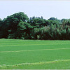 JA全農（イメージ）