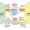 乗用車向けテレマティクスサービス