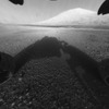 火星の地表画像