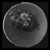 火星の地表画像