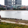 お台場海浜公園で行われた大規模清掃活動のようす