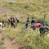 足尾銅山で植樹