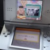 ニンテンドーDSは目的地設定など、リモコン代わりとして使うことも可能。