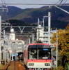 紅葉の時期をむかえる叡山電車沿線
