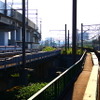 信越線から眺める上越新幹線高架橋