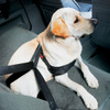 世界初、犬用シートベルトをBMWが発売