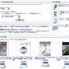 Yahoo！ショッピング