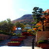 函館市内の街の風景