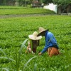 杭州　日本茶の原点を見に行く　（2）　杭州　中天竺へ