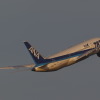 ボーイング 787（全日空）