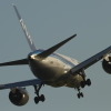 ボーイング 787（全日空）