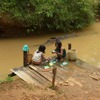懐かしのミャンマーを行く　（18）　インレー湖　日本の食べ物の原型を見る
