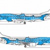 沖縄美ら海水族館×日本トランスオーシャン航空、特別塗装機「ジンベエジェット」