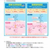 関越ウィンターパス発売…NEXCO東日本新潟支社
