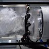 2段階流動分離機（動画キャプチャ）