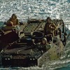 AAV-8