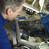 トーマス・レイターの実験（動画キャプチャ）