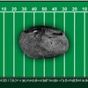 小惑星DA14の地球接近（動画キャプチャ）
