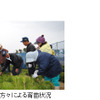 ANA エコトライアルフライト2013、期間限定で実施