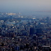 門前仲町などの街並みを手前に、夢の島公園、新木場貯木場、さらに東京ゲートブリッジを望む
