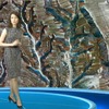 コトメアナ川流域（動画キャプチャ）