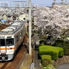 JR東海 東海道線 313系