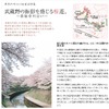 MapFan Web・東京の川沿い さくら散歩