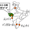 インド・グジャラート州アーメダバード市