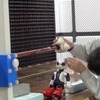 KIBO ROBOT PROJECT（イメージ）