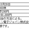 新株式の募集概要