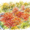 十数年後のケーブルカー沿いの風景（イメージ）