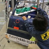 IAEE13 日本デントショップネットワークブース