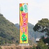 南海電鉄　「ヤッホーポイント」