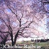 お花見列車