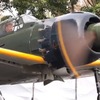 動画キャプチャ